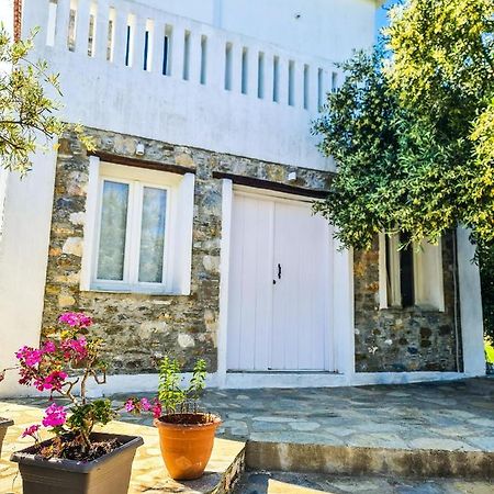 Villa Lionaki House à Skopelos Extérieur photo