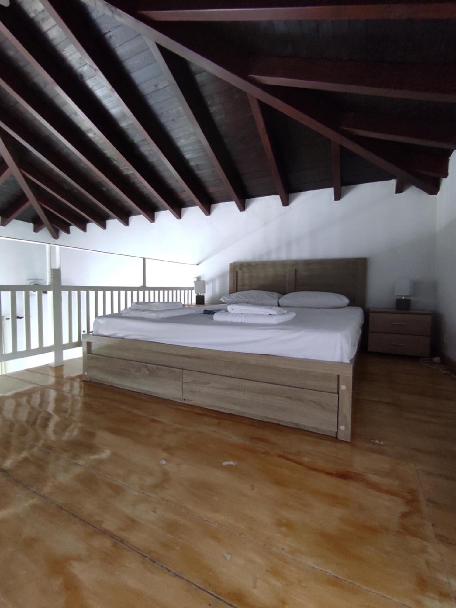 Villa Lionaki House à Skopelos Extérieur photo