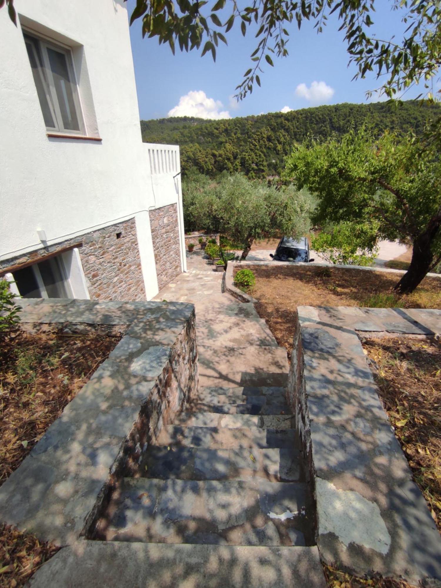 Villa Lionaki House à Skopelos Extérieur photo